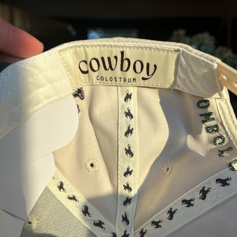 Green and White Cowboy Hat - Picture 4 of 6